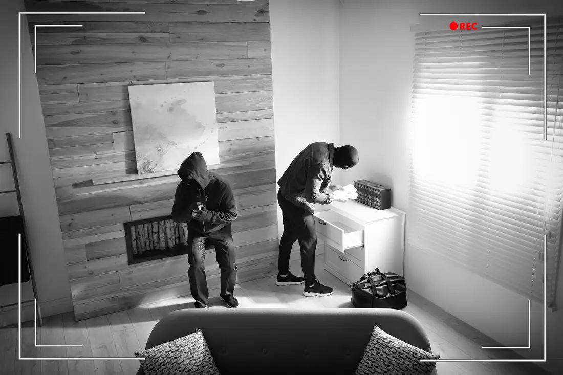 cámara-de-seguridad